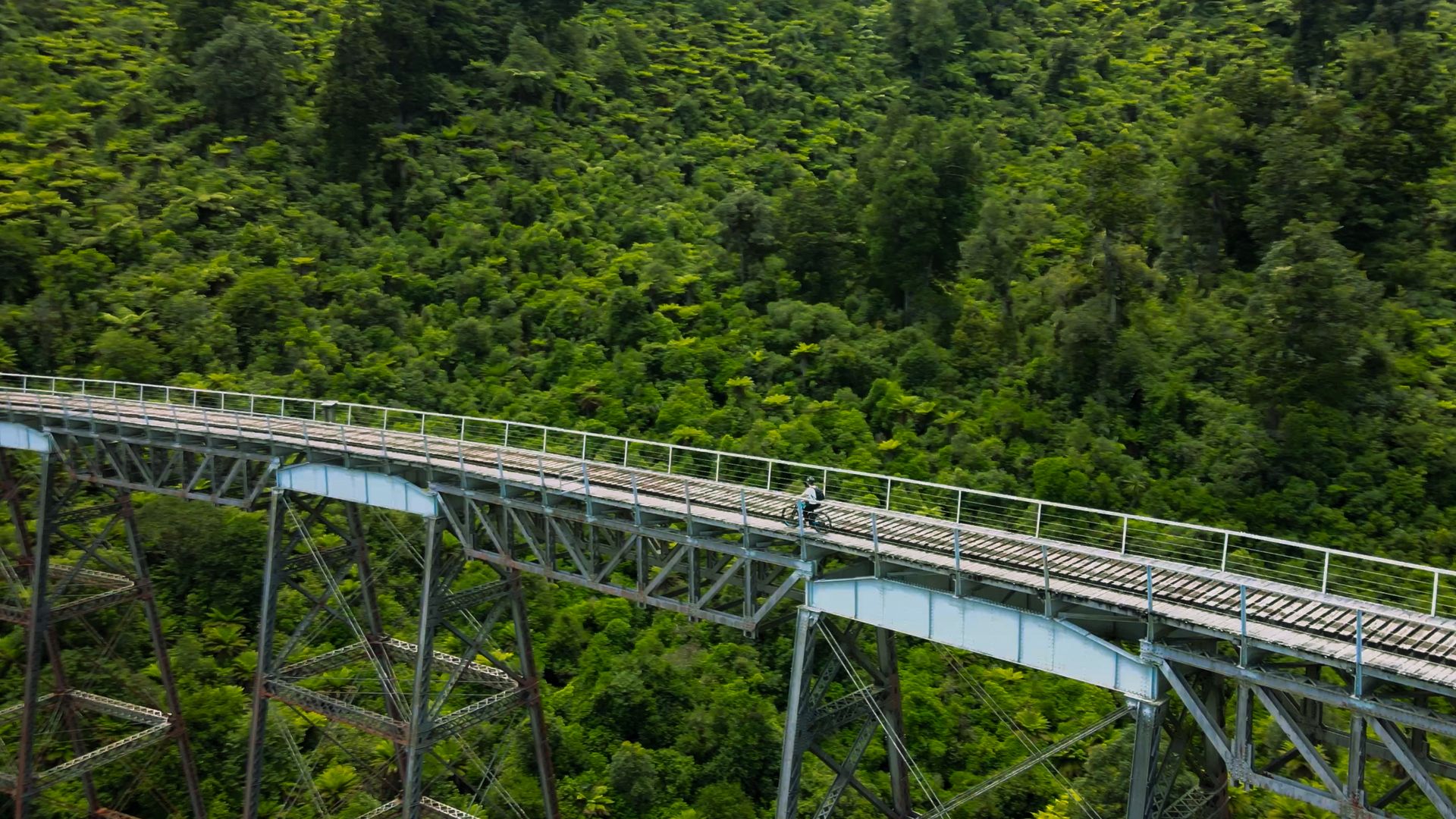 Viaduct on Ohakune Old Coach Road with TCB.jpg